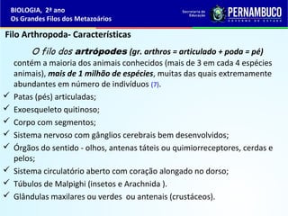 Filo Arthropoda- Características
O filo dos artrópodes (gr. arthros = articulado + poda = pé)
contém a maioria dos animais conhecidos (mais de 3 em cada 4 espécies
animais), mais de 1 milhão de espécies, muitas das quais extremamente
abundantes em número de indivíduos (7).
 Patas (pés) articuladas;
 Exoesqueleto quitinoso;
 Corpo com segmentos;
 Sistema nervoso com gânglios cerebrais bem desenvolvidos;
 Órgãos do sentido - olhos, antenas táteis ou quimiorreceptores, cerdas e
pelos;
 Sistema circulatório aberto com coração alongado no dorso;
 Túbulos de Malpighi (insetos e Arachnida ).
 Glândulas maxilares ou verdes ou antenais (crustáceos).
BIOLOGIA, 2ª ano
Os Grandes Filos dos Metazoários
 