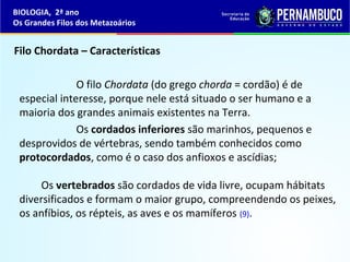 Filo Chordata – Características
O filo Chordata (do grego chorda = cordão) é de
especial interesse, porque nele está situado o ser humano e a
maioria dos grandes animais existentes na Terra.
Os cordados inferiores são marinhos, pequenos e
desprovidos de vértebras, sendo também conhecidos como
protocordados, como é o caso dos anfioxos e ascídias;
Os vertebrados são cordados de vida livre, ocupam hábitats
diversificados e formam o maior grupo, compreendendo os peixes,
os anfíbios, os répteis, as aves e os mamíferos (9).
BIOLOGIA, 2ª ano
Os Grandes Filos dos Metazoários
 