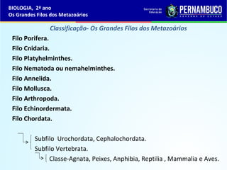 Classificação- Os Grandes Filos dos Metazoários
Filo Porifera.
Filo Cnidaria.
Filo Platyhelminthes.
Filo Nematoda ou nemahelminthes.
Filo Annelida.
Filo Mollusca.
Filo Arthropoda.
Filo Echinordermata.
Filo Chordata.
Subfilo Urochordata, Cephalochordata.
Subfilo Vertebrata.
Classe-Agnata, Peixes, Anphibia, Reptilia , Mammalia e Aves.
BIOLOGIA, 2ª ano
Os Grandes Filos dos Metazoários
 