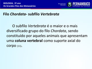 Filo Chordata- subfilo Vertebrata
O subfilo Vertebrata é o maior e o mais
diversificado grupo do filo Chordata, sendo
constituído por aqueles animais que apresentam
uma coluna vertebral como suporte axial do
corpo (11).
BIOLOGIA, 2ª ano
Os Grandes Filos dos Metazoários
 