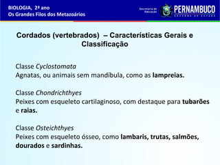 Classe Cyclostomata
Agnatas, ou animais sem mandíbula, como as lampreias.
Classe Chondrichthyes
Peixes com esqueleto cartilaginoso, com destaque para tubarões
e raias.
Classe Osteichthyes
Peixes com esqueleto ósseo, como lambaris, trutas, salmões,
dourados e sardinhas.
Cordados (vertebrados) – Características Gerais e
Classificação
BIOLOGIA, 2ª ano
Os Grandes Filos dos Metazoários
 