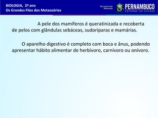 A pele dos mamíferos é queratinizada e recoberta
de pelos com glândulas sebáceas, sudoríparas e mamárias.
O aparelho digestivo é completo com boca e ânus, podendo
apresentar hábito alimentar de herbívoro, carnívoro ou onívoro.
BIOLOGIA, 2ª ano
Os Grandes Filos dos Metazoários
 