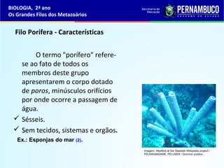 Filo Porifera - Características
O termo "porífero" refere-
se ao fato de todos os
membros deste grupo
apresentarem o corpo dotado
de poros, minúsculos orifícios
por onde ocorre a passagem de
água.
 Sésseis.
 Sem tecidos, sistemas e orgãos.
Ex.: Esponjas do mar (2).
BIOLOGIA, 2ª ano
Os Grandes Filos dos Metazoários
Imagem: Alexflink at the Swedish Wikipedia project /
PD-ANVäNDARE; PD-USER / Domínio público .
 