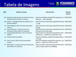 Slide Autoria / Licença Link da Fonte Data do
Acesso
14a André Karwath aka Aka / Creative Commons
Attribution-Share Alike 2.5 Generic.
http://en.wikipedia.org/wiki/File:Sympetrum_f
laveolum_-_side_(aka).jpg
29/02/2012
14b Ordale - CopyrightFreePhotos.HQ101.com /
Domínio público
http://commons.wikimedia.org/wiki/File:Spide
r_1.jpg
29/02/2012
19 Nick Hobgood / GNU Free Documentation
License.
http://commons.wikimedia.org/wiki/File:Ascidi
ans.jpg
29/02/2012
20 Hans Hillewaert / Creative Commons
Attribution-Share Alike 3.0 Unported.
http://commons.wikimedia.org/wiki/File:Branc
hiostoma_lanceolatum.jpg
29/02/2012
21 Encyclopædia Britannica, 1911 / Domínio
Público.
http://commons.wikimedia.org/wiki/File:1911
_Britannica_-_Amphioxus_lanceolatus.png
29/02/2012
22 Philcha/ Domínio público . http://en.wikipedia.org/wiki/File:Balanoglossu
s_01.png
29/02/2012
26 Drow_male / GNU Free Documentation
License.
http://en.wikipedia.org/wiki/File:Diversas_lam
preas.1_-_Aquarium_Finisterrae.JPG
29/02/2012
27 Moesmand / Creative Commons Attribution-
Share Alike 3.0 Unported
http://commons.wikimedia.org/wiki/File:Mant
a_Ray,_Lisboa_aquarium_2008.jpg
29/02/2012
Tabela de Imagens
 