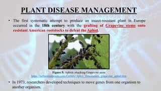 431 Bioinformatics approaches and its application in plant science.pptx