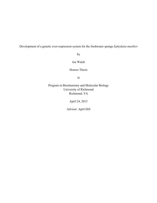 Development of a genetic over-expression system for the freshwater sponge Ephydatia muelleri
by
Joe Walsh
Honors Thesis
in
Program in Biochemistry and Molecular Biology
University of Richmond
Richmond, VA
April 24, 2015
Advisor: April Hill
 