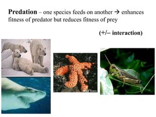 Predation – one species feeds on another  enhances
fitness of predator but reduces fitness of prey
(+/– interaction)
 