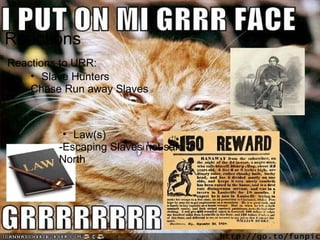 Reactions Reactions to URR: Slave Hunters -Chase Run away Slaves Law(s) -Escaping Slaves not safe in North 