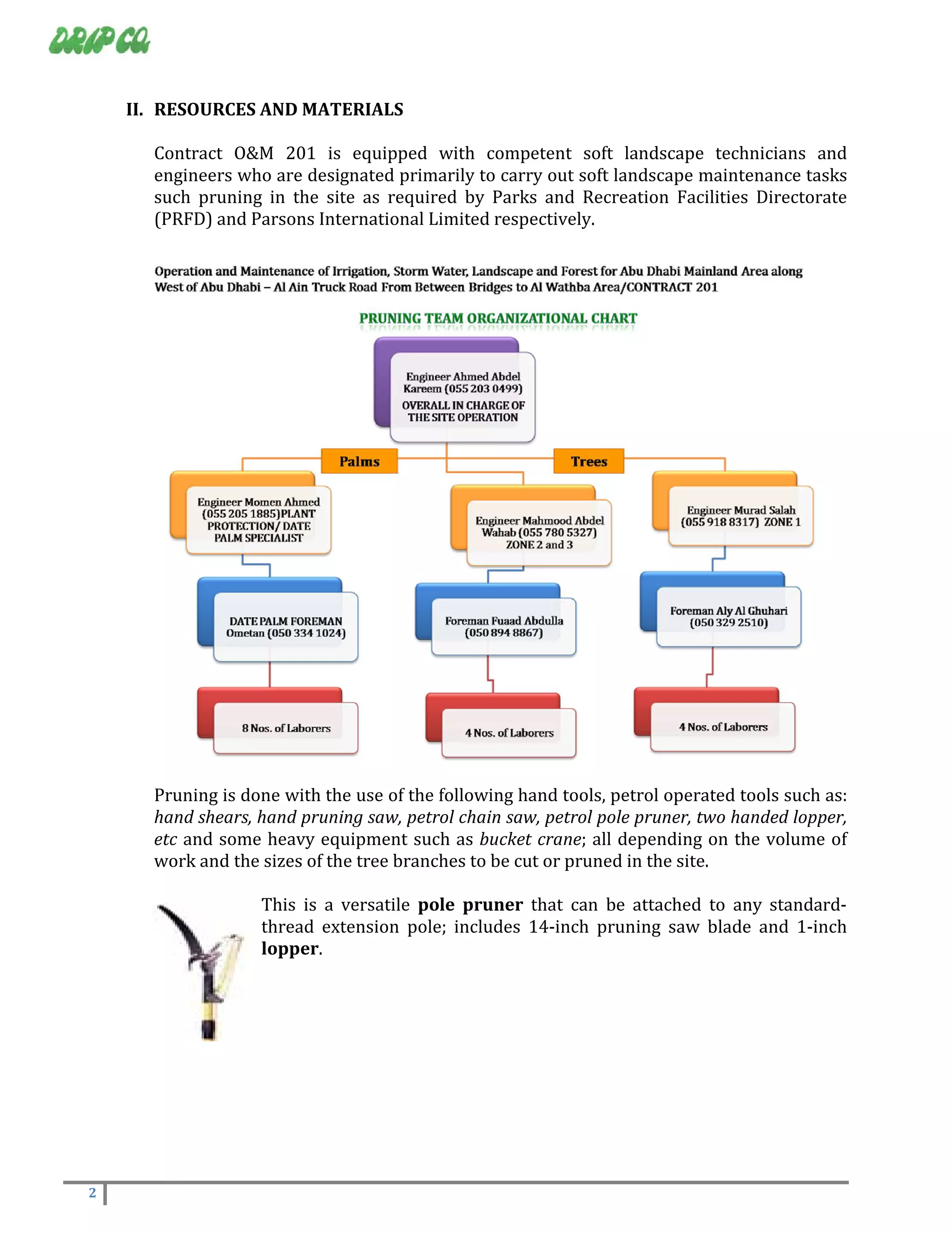 METHODOLOGY OF PRUNING | PDF