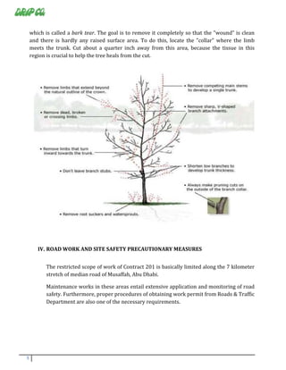 METHODOLOGY OF PRUNING | PDF