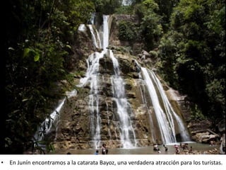 • En Junín encontramos a la catarata Bayoz, una verdadera atracción para los turistas.
 