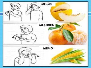 MELÃO
MEXERICA
MILHO
 