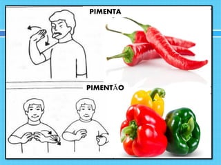 PIMENTA
PIMENTÃO
 