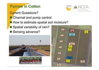 Furrow in Cotton
Current Questions?
 Channel and pump control
 How to estimate spatial soil moisture?
 Spatial variability of rain?
 Sensing advance?
 