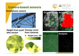 Original image Analysis
Original image Analysis
Smartphone camera
Height from quad
bike sensor
0 Height (mm) 250
Canopy cover
from cameras
Camera-based sensors
 