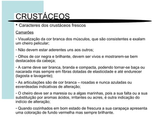 CRUSTÁCEOS
• Caracteres dos crustáceos frescos
Camarões
- Visualização da cor branca dos músculos, que são consistentes e exalam
um cheiro pelicular;
- Não devem estar aderentes uns aos outros;
- Olhos de cor negra e brilhante, devem ser vivos e mostrarem-se bem
destacados da cabeça;
- A carne deve ser branca, branda e compacta, podendo tornar-se baça ou
nacarada mas sempre em fibras dotadas de elasticidade e até endurecer
(lagosta e lavagante);
- As articulações são de cor branca – rosadas e nunca azuladas ou
esverdeadas indicativas de alteração;
- O cheiro deve ser a maresia ou a algas marinhas, pois a sua falta ou a sua
substituição por aromas ácidos, irritantes ou acres, é outra indicação do
indício de alteração;
- Quando cozinhados em bom estado de frescura a sua carapaça apresenta
uma coloração de fundo vermelha mas sempre brilhante.
 