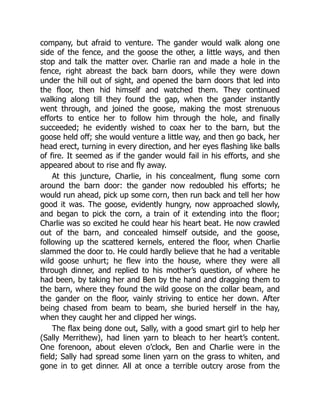 company, but afraid to venture. The gander would walk along one
side of the fence, and the goose the other, a little ways, and then
stop and talk the matter over. Charlie ran and made a hole in the
fence, right abreast the back barn doors, while they were down
under the hill out of sight, and opened the barn doors that led into
the floor, then hid himself and watched them. They continued
walking along till they found the gap, when the gander instantly
went through, and joined the goose, making the most strenuous
efforts to entice her to follow him through the hole, and finally
succeeded; he evidently wished to coax her to the barn, but the
goose held off; she would venture a little way, and then go back, her
head erect, turning in every direction, and her eyes flashing like balls
of fire. It seemed as if the gander would fail in his efforts, and she
appeared about to rise and fly away.
At this juncture, Charlie, in his concealment, flung some corn
around the barn door: the gander now redoubled his efforts; he
would run ahead, pick up some corn, then run back and tell her how
good it was. The goose, evidently hungry, now approached slowly,
and began to pick the corn, a train of it extending into the floor;
Charlie was so excited he could hear his heart beat. He now crawled
out of the barn, and concealed himself outside, and the goose,
following up the scattered kernels, entered the floor, when Charlie
slammed the door to. He could hardly believe that he had a veritable
wild goose unhurt; he flew into the house, where they were all
through dinner, and replied to his mother’s question, of where he
had been, by taking her and Ben by the hand and dragging them to
the barn, where they found the wild goose on the collar beam, and
the gander on the floor, vainly striving to entice her down. After
being chased from beam to beam, she buried herself in the hay,
when they caught her and clipped her wings.
The flax being done out, Sally, with a good smart girl to help her
(Sally Merrithew), had linen yarn to bleach to her heart’s content.
One forenoon, about eleven o’clock, Ben and Charlie were in the
field; Sally had spread some linen yarn on the grass to whiten, and
gone in to get dinner. All at once a terrible outcry arose from the
 