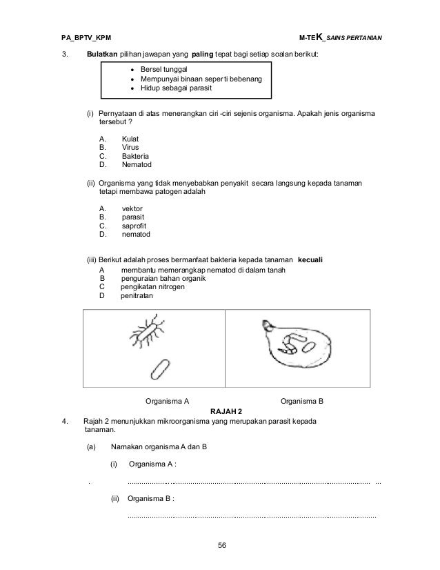 Soalan Dan Jawapan Vektor - Malacca s