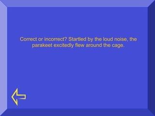 Correct or incorrect? Startled by the loud noise, the
     parakeet excitedly flew around the cage.
 