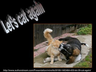 http://www.authorstream.com/Presentation/mireille30100-1483464-435-let-39-cat-again/
 