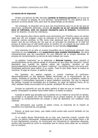 Como cambiar creencias con PNL Robert Dilts
La teoría de la impronta
Existe una técnica de PNL llamada cambiar la historia personal, en la que se
envía un recurso al pasado de una persona. Generalmente es una aptitud que la
persona no tenía siendo niño, pero que ha desarrollado ya de adulto.
Sin embargo, la situación con la que nos encontramos aquí no es de las que se
solucionan cambiando aptitudes, porque el asunto no es un recurso necesario
para el individuo, sino un recurso necesario para el sistema. Necesitamos
sanar la relación, no solo los individuos.
Hace algunos años estuve dando unos seminarios con Timothy Leary (no tenían
nada que ver con drogas). Leary se interesó en la PNL porque pensaba que para
provocar ciertos cambios, la PNL tenía más potencial que el LSD. ¡Quizás tenía
razón! Uno de los motivos por los que en un principio se interesó en el LSD fue
porque él sentía que el LSD podía poner al cerebro en un estado tal que podía ser
reprogramado y podía ayudar a reprogramar lo que llamaba improntas.
Una impronta no es sólo un suceso traumático de tu experiencia personal. Una
impronta es una creencia o una experiencia que modela identidades. No tiene
necesariamente que ser traumática. Es una reflexión de tu propia identidad. El
proceso de reimprontación se deriva de este trabajo con Leary.
La palabra "impronta" se la debemos a Konrad Lorenz, quien estudió el
comportamiento de los patitos desde el momento en que salen del cascarón. Lorenz
descubrió que cuando los patitos salían del cascarón, durante un día
aproximadamente buscaban una figura "materna". Los patitos tienen una única sub-
modalidad particular para definir a su madre. Todo lo que debe hacer la madre es
moverse. Si algo se mueve, el patito lo sigue.
Por ejemplo, los patitos seguían a Lorenz mientras él caminara.
Aproximadamente un día después habían terminado ya la improntación de su
madre. Acabado el periodo de improntación, si les traía a su verdadera madre la
ignoraban y continuaban siguiendo a aquel caballero austríaco. Por eso lo seguían
los patitos. Cuando se levantaba por la mañana, en lugar de hallarse fuera, en su
nido, estaban todos acurrucados en el portal, alrededor de sus botas.
Incluso se improntó en uno de estos patitos la idea de que su madre era una
pelota. Empujaban la pelota hacia todos lados y el patito la seguía.
Cuando el patito que pensaba que la pelota era su madre se convirtió en adulto,
no cortejó ni se apareó con otros miembros de su propia especie. En lugar de ello
desarrolló su comportamiento de cortejo y trató de aparearse con cualquier cosa
redonda.
Esto demuestra que cuando el patito creció, la impronta de la madre se
transfirió a la impronta de una pareja.
Pienso, al igual que Leary, que hasta cierto punto esto ocurre también en los
seres humanos.
Si un padre abusa físicamente de su hija, esa impronta creará, cuando ella
crezca, un patrón interesante. Independientemente de lo que ella desee hacer o de
lo que lógicamente conozca, se involucrará con frecuencia en relaciones abusivas,
porque esa impronta es como un arquetipo que le marca cómo debe ser su relación
con un hombre.
66
 