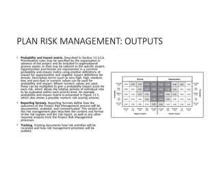 4554447637498498-Project-Risk-Management.pptx