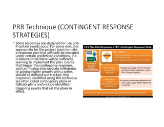 4554447637498498-Project-Risk-Management.pptx