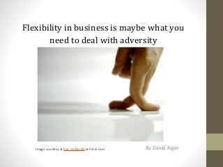 Flexibility in business is maybe what you
need to deal with adversity
By David KigerImage courtesy of liss_mcbovzla at Flickr.com
 