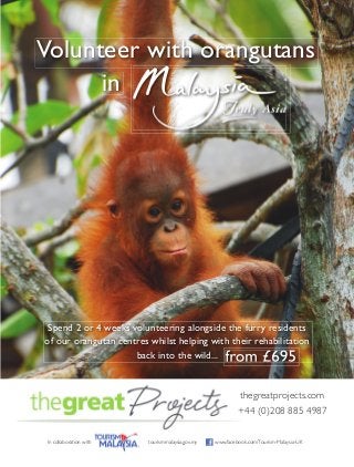 In collaboration with
thegreatprojects.com
+44 (0)208 885 4987
Volunteer with orangutans
from £695from £695
Spend 2 or 4 weeks volunteering alongside the furry residents
of our orangutan centres whilst helping with their rehabilitation
back into the wild...
in
www.facebook.com/Tourism-Malaysia-UKtourismmalaysia.gov.my
 