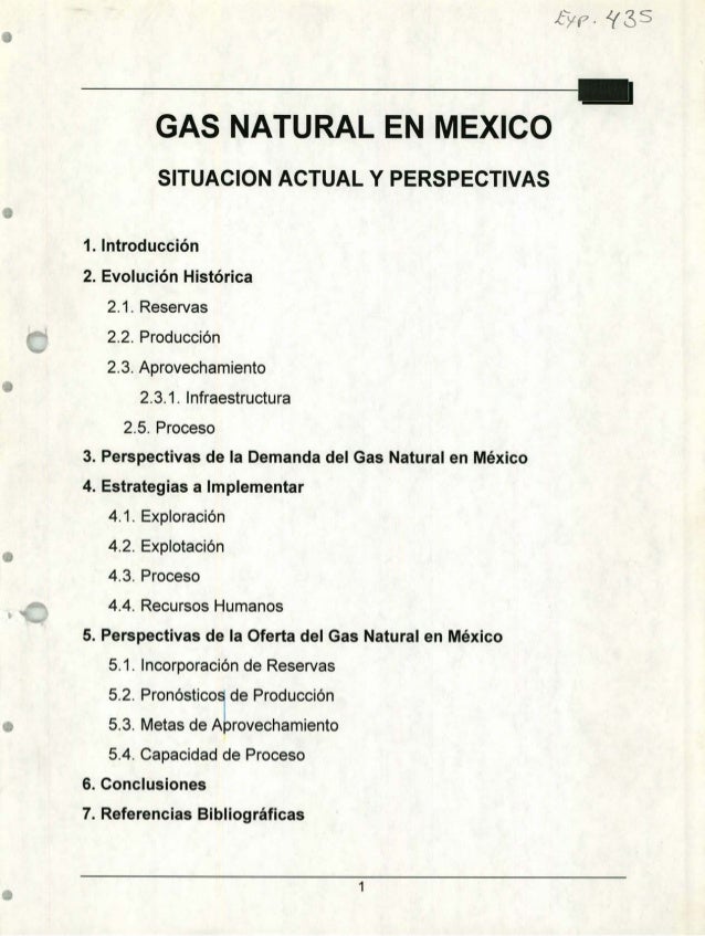 Gas Natural En Mexico Situacion Actual Y Perspectivas
