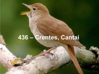 436 – Crentes, Cantai
 