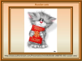 http://www.authorstream.com/Presentation/mireille30100-1488795-436-russian-cats/
 