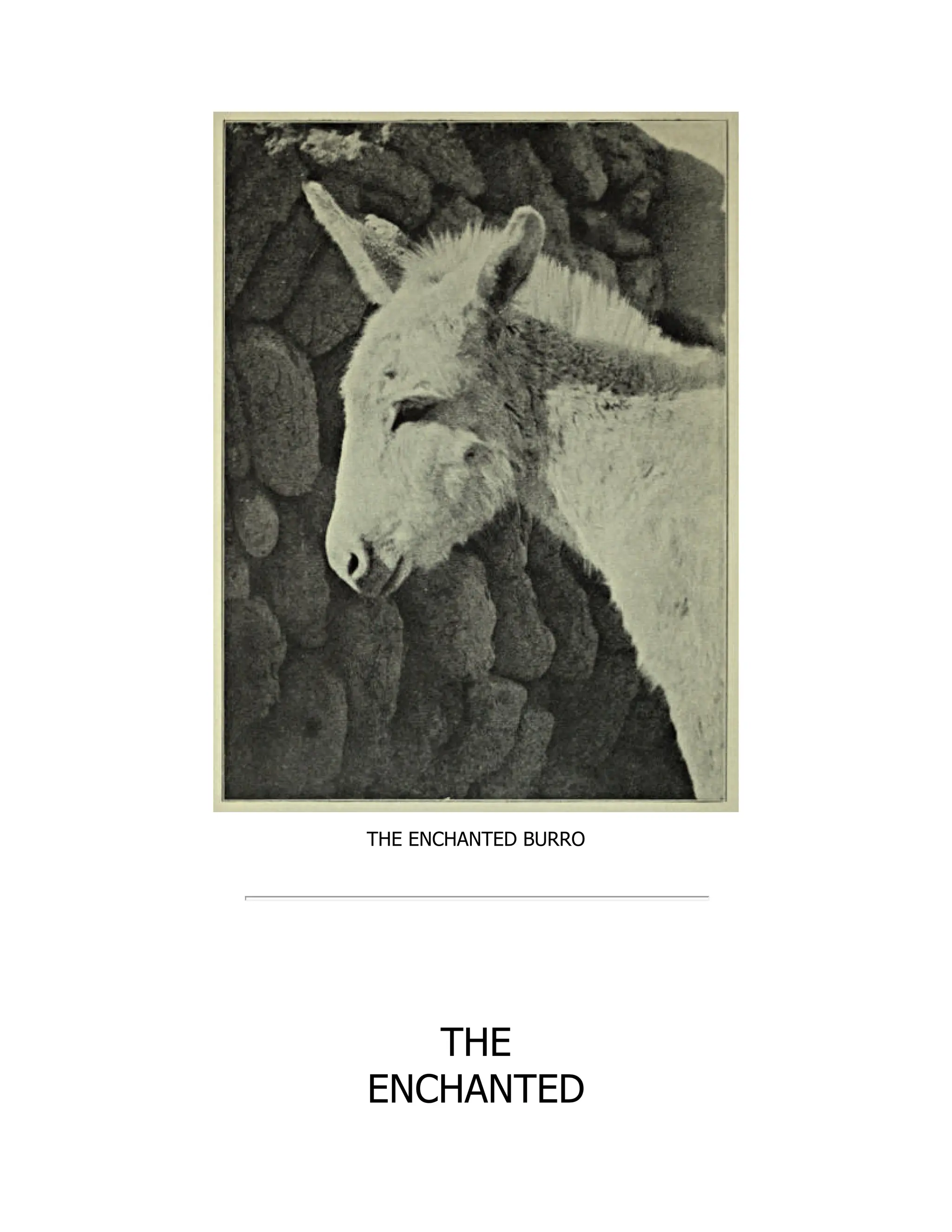 THE ENCHANTED BURRO
THE
ENCHANTED
 
