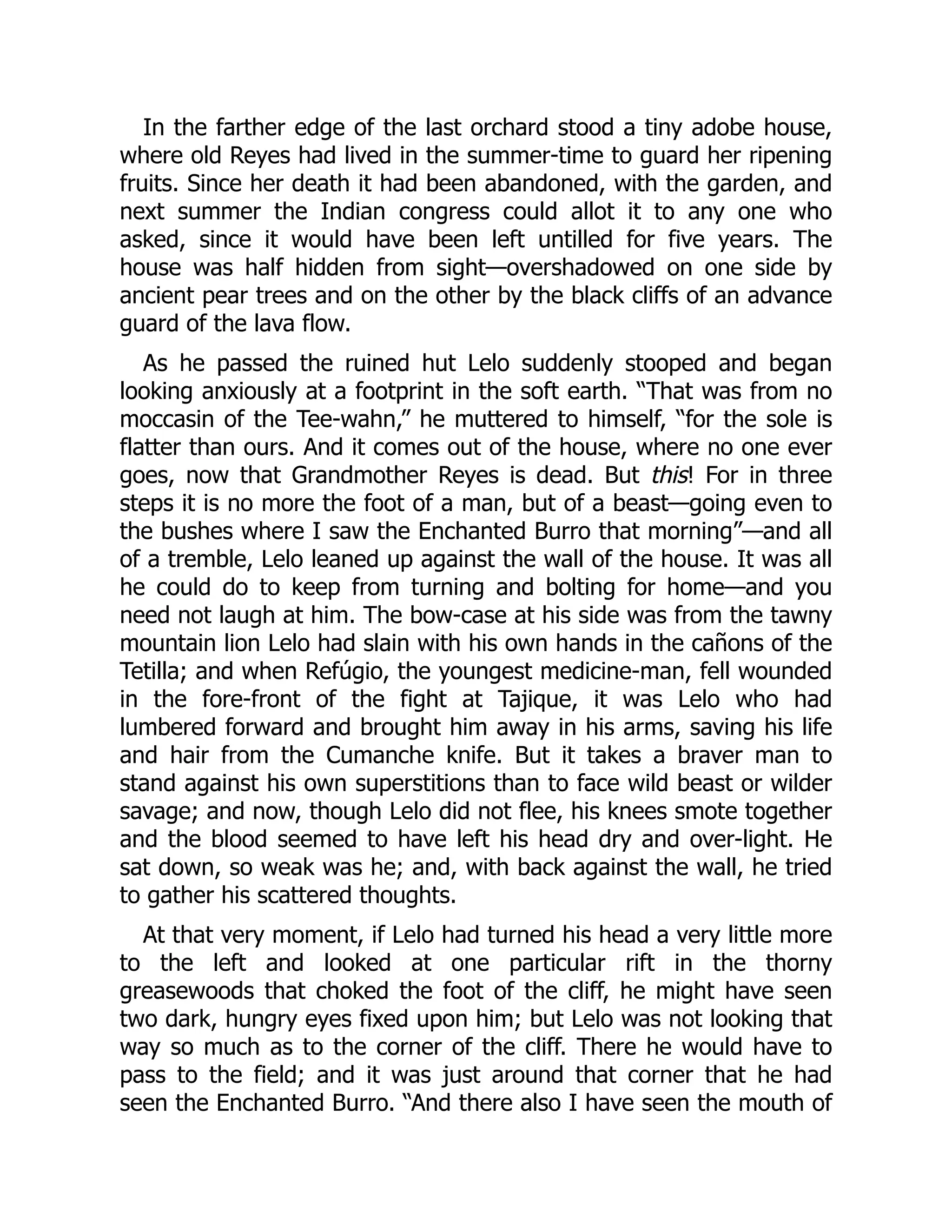 In the farther edge of the last orchard stood a tiny adobe house,
where old Reyes had lived in the summer-time to guard her ripening
fruits. Since her death it had been abandoned, with the garden, and
next summer the Indian congress could allot it to any one who
asked, since it would have been left untilled for five years. The
house was half hidden from sight—overshadowed on one side by
ancient pear trees and on the other by the black cliffs of an advance
guard of the lava flow.
As he passed the ruined hut Lelo suddenly stooped and began
looking anxiously at a footprint in the soft earth. “That was from no
moccasin of the Tee-wahn,” he muttered to himself, “for the sole is
flatter than ours. And it comes out of the house, where no one ever
goes, now that Grandmother Reyes is dead. But this! For in three
steps it is no more the foot of a man, but of a beast—going even to
the bushes where I saw the Enchanted Burro that morning”—and all
of a tremble, Lelo leaned up against the wall of the house. It was all
he could do to keep from turning and bolting for home—and you
need not laugh at him. The bow-case at his side was from the tawny
mountain lion Lelo had slain with his own hands in the cañons of the
Tetilla; and when Refúgio, the youngest medicine-man, fell wounded
in the fore-front of the fight at Tajique, it was Lelo who had
lumbered forward and brought him away in his arms, saving his life
and hair from the Cumanche knife. But it takes a braver man to
stand against his own superstitions than to face wild beast or wilder
savage; and now, though Lelo did not flee, his knees smote together
and the blood seemed to have left his head dry and over-light. He
sat down, so weak was he; and, with back against the wall, he tried
to gather his scattered thoughts.
At that very moment, if Lelo had turned his head a very little more
to the left and looked at one particular rift in the thorny
greasewoods that choked the foot of the cliff, he might have seen
two dark, hungry eyes fixed upon him; but Lelo was not looking that
way so much as to the corner of the cliff. There he would have to
pass to the field; and it was just around that corner that he had
seen the Enchanted Burro. “And there also I have seen the mouth of
 
