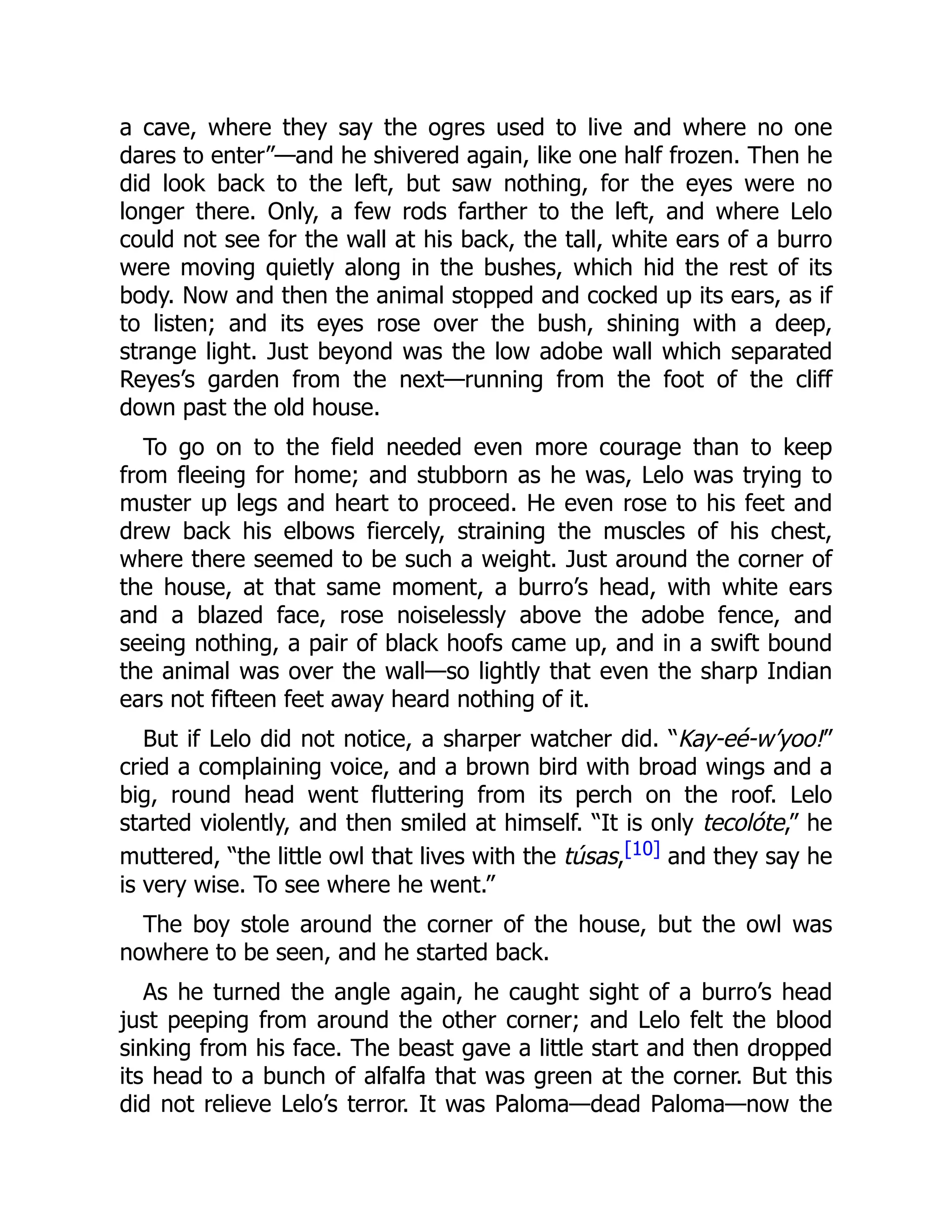 a cave, where they say the ogres used to live and where no one
dares to enter”—and he shivered again, like one half frozen. Then he
did look back to the left, but saw nothing, for the eyes were no
longer there. Only, a few rods farther to the left, and where Lelo
could not see for the wall at his back, the tall, white ears of a burro
were moving quietly along in the bushes, which hid the rest of its
body. Now and then the animal stopped and cocked up its ears, as if
to listen; and its eyes rose over the bush, shining with a deep,
strange light. Just beyond was the low adobe wall which separated
Reyes’s garden from the next—running from the foot of the cliff
down past the old house.
To go on to the field needed even more courage than to keep
from fleeing for home; and stubborn as he was, Lelo was trying to
muster up legs and heart to proceed. He even rose to his feet and
drew back his elbows fiercely, straining the muscles of his chest,
where there seemed to be such a weight. Just around the corner of
the house, at that same moment, a burro’s head, with white ears
and a blazed face, rose noiselessly above the adobe fence, and
seeing nothing, a pair of black hoofs came up, and in a swift bound
the animal was over the wall—so lightly that even the sharp Indian
ears not fifteen feet away heard nothing of it.
But if Lelo did not notice, a sharper watcher did. “Kay-eé-w’yoo!”
cried a complaining voice, and a brown bird with broad wings and a
big, round head went fluttering from its perch on the roof. Lelo
started violently, and then smiled at himself. “It is only tecolóte,” he
muttered, “the little owl that lives with the túsas,[10] and they say he
is very wise. To see where he went.”
The boy stole around the corner of the house, but the owl was
nowhere to be seen, and he started back.
As he turned the angle again, he caught sight of a burro’s head
just peeping from around the other corner; and Lelo felt the blood
sinking from his face. The beast gave a little start and then dropped
its head to a bunch of alfalfa that was green at the corner. But this
did not relieve Lelo’s terror. It was Paloma—dead Paloma—now the
 