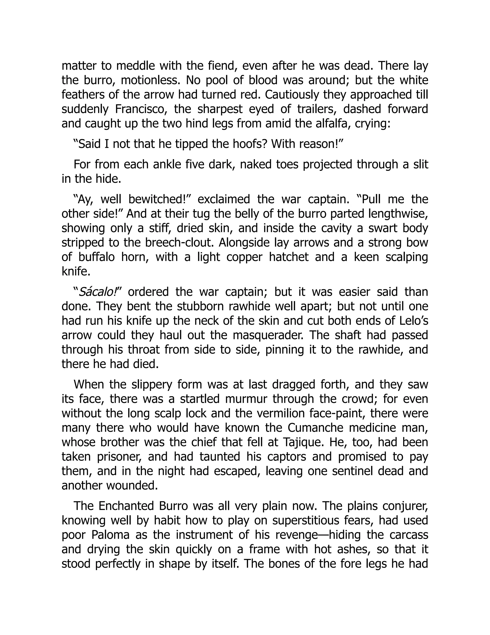 matter to meddle with the fiend, even after he was dead. There lay
the burro, motionless. No pool of blood was around; but the white
feathers of the arrow had turned red. Cautiously they approached till
suddenly Francisco, the sharpest eyed of trailers, dashed forward
and caught up the two hind legs from amid the alfalfa, crying:
“Said I not that he tipped the hoofs? With reason!”
For from each ankle five dark, naked toes projected through a slit
in the hide.
“Ay, well bewitched!” exclaimed the war captain. “Pull me the
other side!” And at their tug the belly of the burro parted lengthwise,
showing only a stiff, dried skin, and inside the cavity a swart body
stripped to the breech-clout. Alongside lay arrows and a strong bow
of buffalo horn, with a light copper hatchet and a keen scalping
knife.
“Sácalo!” ordered the war captain; but it was easier said than
done. They bent the stubborn rawhide well apart; but not until one
had run his knife up the neck of the skin and cut both ends of Lelo’s
arrow could they haul out the masquerader. The shaft had passed
through his throat from side to side, pinning it to the rawhide, and
there he had died.
When the slippery form was at last dragged forth, and they saw
its face, there was a startled murmur through the crowd; for even
without the long scalp lock and the vermilion face-paint, there were
many there who would have known the Cumanche medicine man,
whose brother was the chief that fell at Tajique. He, too, had been
taken prisoner, and had taunted his captors and promised to pay
them, and in the night had escaped, leaving one sentinel dead and
another wounded.
The Enchanted Burro was all very plain now. The plains conjurer,
knowing well by habit how to play on superstitious fears, had used
poor Paloma as the instrument of his revenge—hiding the carcass
and drying the skin quickly on a frame with hot ashes, so that it
stood perfectly in shape by itself. The bones of the fore legs he had
 