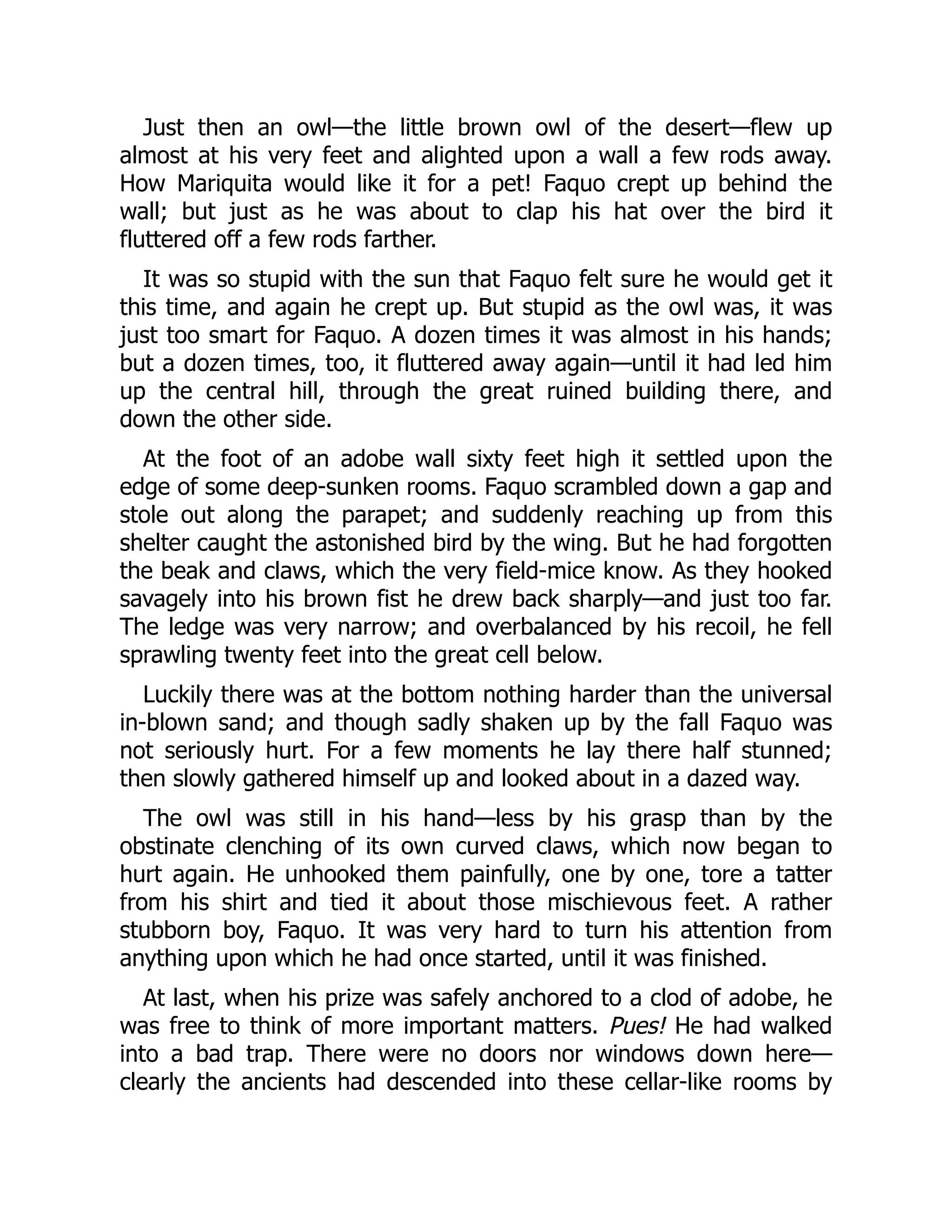 Just then an owl—the little brown owl of the desert—flew up
almost at his very feet and alighted upon a wall a few rods away.
How Mariquita would like it for a pet! Faquo crept up behind the
wall; but just as he was about to clap his hat over the bird it
fluttered off a few rods farther.
It was so stupid with the sun that Faquo felt sure he would get it
this time, and again he crept up. But stupid as the owl was, it was
just too smart for Faquo. A dozen times it was almost in his hands;
but a dozen times, too, it fluttered away again—until it had led him
up the central hill, through the great ruined building there, and
down the other side.
At the foot of an adobe wall sixty feet high it settled upon the
edge of some deep-sunken rooms. Faquo scrambled down a gap and
stole out along the parapet; and suddenly reaching up from this
shelter caught the astonished bird by the wing. But he had forgotten
the beak and claws, which the very field-mice know. As they hooked
savagely into his brown fist he drew back sharply—and just too far.
The ledge was very narrow; and overbalanced by his recoil, he fell
sprawling twenty feet into the great cell below.
Luckily there was at the bottom nothing harder than the universal
in-blown sand; and though sadly shaken up by the fall Faquo was
not seriously hurt. For a few moments he lay there half stunned;
then slowly gathered himself up and looked about in a dazed way.
The owl was still in his hand—less by his grasp than by the
obstinate clenching of its own curved claws, which now began to
hurt again. He unhooked them painfully, one by one, tore a tatter
from his shirt and tied it about those mischievous feet. A rather
stubborn boy, Faquo. It was very hard to turn his attention from
anything upon which he had once started, until it was finished.
At last, when his prize was safely anchored to a clod of adobe, he
was free to think of more important matters. Pues! He had walked
into a bad trap. There were no doors nor windows down here—
clearly the ancients had descended into these cellar-like rooms by
 