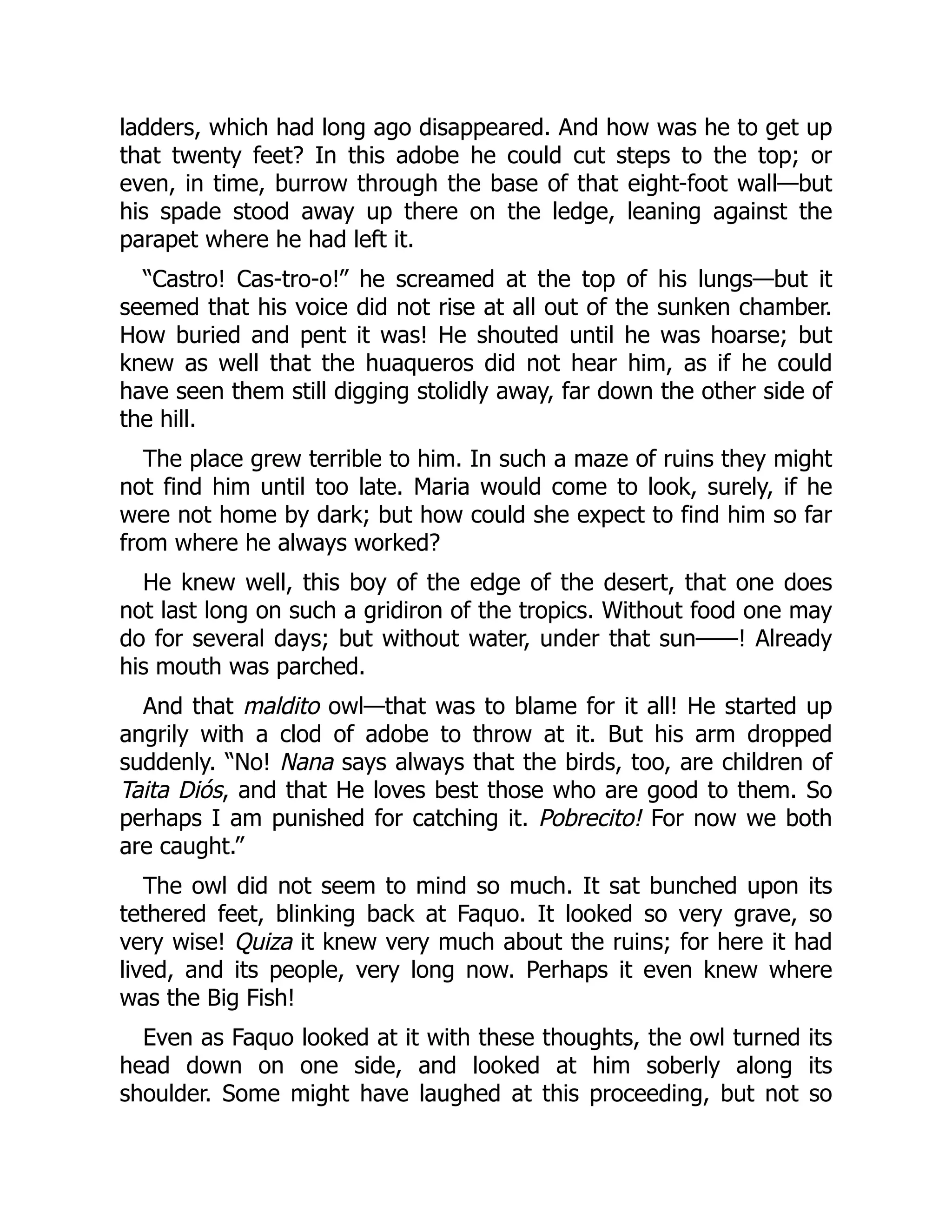 ladders, which had long ago disappeared. And how was he to get up
that twenty feet? In this adobe he could cut steps to the top; or
even, in time, burrow through the base of that eight-foot wall—but
his spade stood away up there on the ledge, leaning against the
parapet where he had left it.
“Castro! Cas-tro-o!” he screamed at the top of his lungs—but it
seemed that his voice did not rise at all out of the sunken chamber.
How buried and pent it was! He shouted until he was hoarse; but
knew as well that the huaqueros did not hear him, as if he could
have seen them still digging stolidly away, far down the other side of
the hill.
The place grew terrible to him. In such a maze of ruins they might
not find him until too late. Maria would come to look, surely, if he
were not home by dark; but how could she expect to find him so far
from where he always worked?
He knew well, this boy of the edge of the desert, that one does
not last long on such a gridiron of the tropics. Without food one may
do for several days; but without water, under that sun——! Already
his mouth was parched.
And that maldito owl—that was to blame for it all! He started up
angrily with a clod of adobe to throw at it. But his arm dropped
suddenly. “No! Nana says always that the birds, too, are children of
Taita Diós, and that He loves best those who are good to them. So
perhaps I am punished for catching it. Pobrecito! For now we both
are caught.”
The owl did not seem to mind so much. It sat bunched upon its
tethered feet, blinking back at Faquo. It looked so very grave, so
very wise! Quiza it knew very much about the ruins; for here it had
lived, and its people, very long now. Perhaps it even knew where
was the Big Fish!
Even as Faquo looked at it with these thoughts, the owl turned its
head down on one side, and looked at him soberly along its
shoulder. Some might have laughed at this proceeding, but not so
 