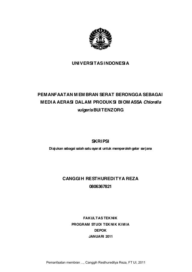 Skripsi Teknik Kimia Ide Judul Skripsi Universitas
