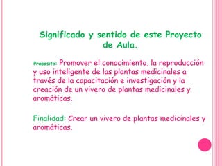 Significado y sentido de este Proyecto de Aula. Proposito:  Promover el conocimiento, la reproducción y uso inteligente de las plantas medicinales a través de la capacitación e investigación y la creación de un vivero de plantas medicinales y aromáticas. Finalidad:  Crear un vivero de plantas medicinales y aromáticas. 