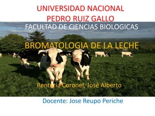 Rentería Coronel, José Alberto
UNIVERSIDAD NACIONAL
PEDRO RUIZ GALLO
FACULTAD DE CIENCIAS BIOLOGICAS
BROMATOLOGIA DE LA LECHE
Docente: Jose Reupo Periche
 