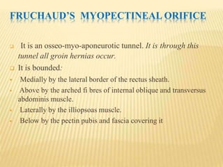  It is an osseo-myo-aponeurotic tunnel. It is through this
tunnel all groin hernias occur.
 It is bounded:
 Medially by the lateral border of the rectus sheath.
 Above by the arched fi bres of internal oblique and transversus
abdominis muscle.
 Laterally by the illiopsoas muscle.
 Below by the pectin pubis and fascia covering it
FRUCHAUD’S MYOPECTINEAL ORIFICE
 