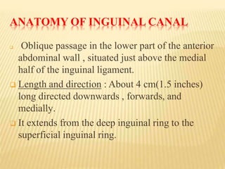 ANATOMY OF INGUINAL CANAL
 Oblique passage in the lower part of the anterior
abdominal wall , situated just above the medial
half of the inguinal ligament.
 Length and direction : About 4 cm(1.5 inches)
long directed downwards , forwards, and
medially.
 It extends from the deep inguinal ring to the
superficial inguinal ring.
 
