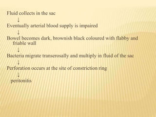 Fluid collects in the sac
↓
Eventually arterial blood supply is impaired
↓
Bowel becomes dark, brownish black coloured with flabby and
friable wall
↓
Bacteria migrate transerosally and multiply in fluid of the sac
↓
Perforation occurs at the site of constriction ring
↓
peritonitis
 