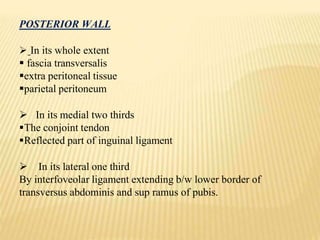 POSTERIOR WALL
 In its whole extent
 fascia transversalis
extra peritoneal tissue
parietal peritoneum
 In its medial two thirds
The conjoint tendon
Reflected part of inguinal ligament
 In its lateral one third
By interfoveolar ligament extending b/w lower border of
transversus abdominis and sup ramus of pubis.
 