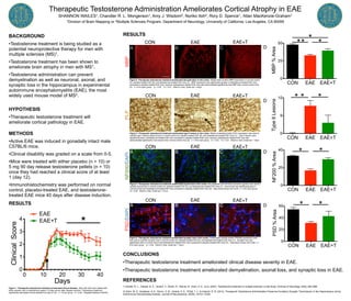 0 10 20 30 40
0
1
2
3
4
Days
ClinicalScore
EAE+T
EAE
*
Therapeutic Testosterone Administration Ameliorates Cortical Atrophy in EAE
SHANNON WAILES1, Chandler R. L. Mongerson1, Amy J. Wisdom2, Noriko Itoh2, Rory D. Spence1, Allan MacKenzie-Graham1
1Division of Brain Mapping or 2Multiple Sclerosis Program, Department of Neurology, University of California, Los Angeles, CA 90095
BACKGROUND
•Testosterone treatment is being studied as a
potential neuroprotective therapy for men with
multiple sclerosis (MS)1.
•Testosterone treatment has been shown to
ameliorate brain atrophy in men with MS1.
•Testosterone administration can prevent
demyelination as well as neuronal, axonal, and
synaptic loss in the hippocampus in experimental
autoimmune encephalomyelitis (EAE), the most
widely used mouse model of MS2.
HYPOTHESIS
•Therapeutic testosterone treatment will
ameliorate cortical pathology in EAE.
METHODS
•Active EAE was induced in gonadally intact male
C57BL/6 mice.
•Clinical disability was graded on a scale from 0-5.
•Mice were treated with either placebo (n = 10) or
5 mg 90 day release testosterone pellets (n = 10)
once they had reached a clinical score of at least
1 (day 12).
•Immunohistochemistry was performed on normal
control, placebo-treated EAE, and testosterone-
treated EAE mice 40 days after disease induction.
RESULTS
CONCLUSIONS
•Therapeutic testosterone treatment ameliorated clinical disease severity in EAE.
•Therapeutic testosterone treatment ameliorated demyelination, axonal loss, and synaptic loss in EAE.
REFERENCES
1) Sicotte, N. L., Giesser, B. S., Tandon, V., Klutch, R., Steiner, B., Drain, A. E., et al. (2007). Testosterone treatment in multiple sclerosis: a pilot study. Archives of Neurology, 64(5), 683–688.
2) Ziehn, M. O., Avedisian, A. A., Dervin, S. M., Umeda, E. A., O'Dell, T. J., & Voskuhl, R. R. (2012). Therapeutic Testosterone Administration Preserves Excitatory Synaptic Transmission in the Hippocampus during
Autoimmune Demyelinating Disease. Journal of Neuroscience, 32(36), 12312–12324.
MBP
A
NF200/DAPI
A
CON EAE EAE+T
0
25
50
MBP%Area
** *
*
CON EAE EAE+T
0
5
10
TypeIILesions
** *
CON EAE EAE+T
0
20
40
NF200%Area
* *
CON EAE EAE+T
0
20
40
60
PSD%Area
* *
Figure 2. Therapeutic testosterone treatment ameliorated demyelination in the cortex. Myelin basic protein (MBP) expression in normal control
(A), placebo-treated EAE (B), and testosterone-treated EAE mice (C). MBP expression was significantly greater in testosterone-treated EAE mice
compared to placebo-treated EAE mice, however, testosterone-treated EAE mice also demonstrated significantly less MBP than normal control mice
(D). n = 8 for each group. *p < 0.05. **p < 0.01. Welch’s t-test. Scale bar = 44µm.
PSD/DAPIPLP
Figure 1. Therapeutic testosterone treatment ameliorated clinical disease. Mice with EAE were treated with
either placebo (red) or testosterone (green) 12 days (arrow) after disease induction. Testosterone treatment
significantly decreased clinical disease from day 21-40. n = 10 per group. *p < 0.05. Repeated Measure ANOVA.
A
CON
B C D
EAE EAE+T
CON EAE EAE+T
Figure 3. Therapeutic testosterone treatment ameliorated type II lesions in the cortex. Myelin proteolipid protein (PLP) expression was used to
quantify type II lesions (black arrow) in normal control (A), placebo-treated EAE (B), and testosterone-treated EAE mice (C). Type II lesions were
significantly less in testosterone-treated EAE mice compared to placebo-treated EAE mice, however, testosterone-treated EAE mice also
demonstrated significantly more lesions than normal control mice (D). n = 8 for each group. *p < 0.05. **p < 0.01. Welch’s t-test. Scale bar = 19µm.
RESULTS
A B C D
CON EAE EAE+T
A B C D
CON EAE EAE+T
A B C D
Figure 4. Therapeutic testosterone treatment ameliorated axonal loss in the cortex. Neurofilament 200 (NF200) expression (green) was used to
quantify axonal loss in normal control (A), placebo-treated EAE (B), and testosterone-treated EAE mice (C). Axonal loss was significantly less in
normal control and testosterone-treated EAE mice compared to placebo-treated EAE mice (D). Dapi (blue) shows cell nuclei. n = 8 for each group.
*p < 0.05. Welch’s t-test. Scale bar = 27µm.
Figure 5. Therapeutic testosterone treatment ameliorated synaptic loss in the cortex. Postsynaptic density protein (PSD95) expression (red)
was used to quantify synaptic loss in normal control (A), placebo-treated EAE (B), and testosterone-treated EAE mice (C). Synaptic loss was
significantly less in normal control and testosterone-treated EAE mice compared to placebo-treated EAE mice (D). Dapi (blue) shows cell nuclei. n =
8 for each group. *p < 0.05. Welch’s t-test. Scale bar = 19µm.
 