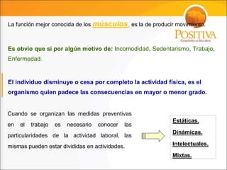 Es obvio que si por algún motivo de: Incomodidad, Sedentarismo, Trabajo,
Enfermedad.
El individuo disminuye o cesa por completo la actividad física, es el
organismo quien padece las consecuencias en mayor o menor grado.
La función mejor conocida de los músculos, es la de producir movimiento.
Cuando se organizan las medidas preventivas
en el trabajo es necesario conocer las
particularidades de la actividad laboral, las
mismas pueden estar divididas en actividades.
Estáticas.
Dinámicas.
Intelectuales.
Mixtas.
 