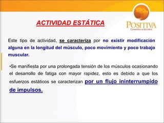 •Se manifiesta por una prolongada tensión de los músculos ocasionando
el desarrollo de fatiga con mayor rapidez, esto es debido a que los
esfuerzos estáticos se caracterizan por un flujo ininterrumpido
de impulsos.
ACTIVIDAD ESTÁTICA
Este tipo de actividad, se caracteriza por no existir modificación
alguna en la longitud del músculo, poco movimiento y poco trabajo
muscular.
 