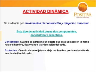 Se evidencia por movimientos de contracción y relajación muscular.
ACTIVIDAD DINÁMICA
Concéntrico: Cuando se aproxima un objeto que está ubicado en la mano
hacia el hombro, flexionando la articulación del codo.
Excéntrico: Cuando dicho objeto se aleja del hombro por la extensión de
la articulación del codo.
Este tipo de actividad posee dos componentes,
concéntrico y excéntrico.
 
