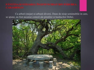 FÂNTÂNA ŞI STEJARUL ÎNGENUNCHIAT DIN PĂDUREA
CARAORMAN
Cu arbori (stejar) si arbusti diversi. Dune de nisip semimobile in care,
se spune, au fost ascunse comori ale piratilor si haiducilor Deltei.
 